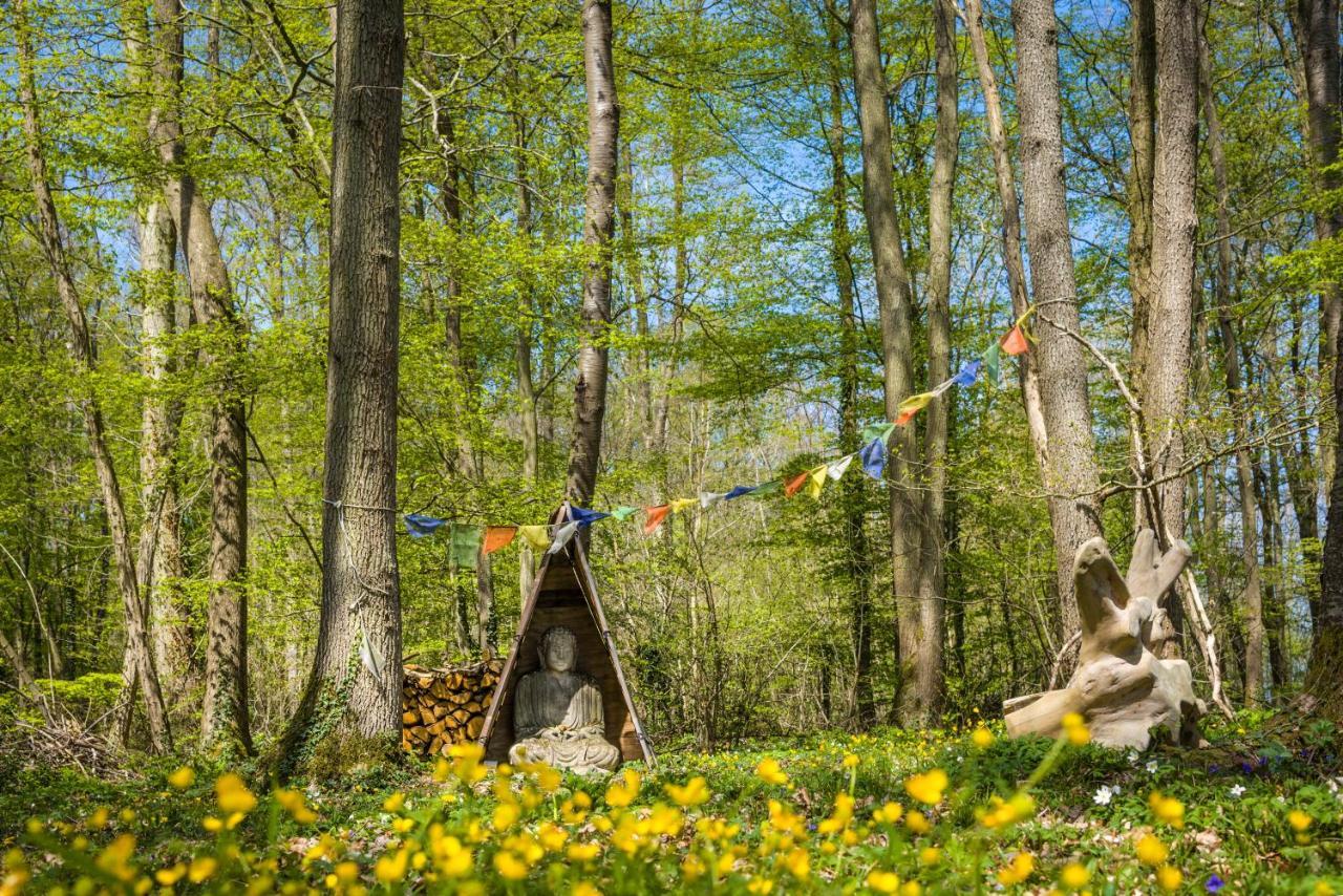 Gites Du Bois Des Perruches Saint-Vincent-des-Bois Exterior photo