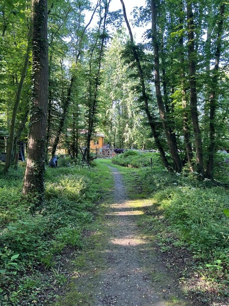 Gites Du Bois Des Perruches Saint-Vincent-des-Bois Exterior photo